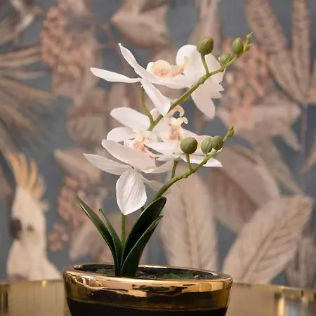 Clicktheflat Aleje Jerozolimskie Center