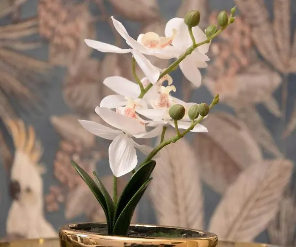 Clicktheflat Aleje Jerozolimskie Center